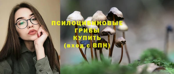 крисы Новокубанск