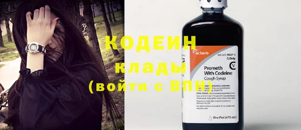 крисы Новокубанск
