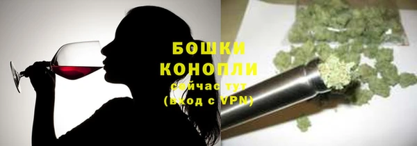 не бодяженный Новодвинск