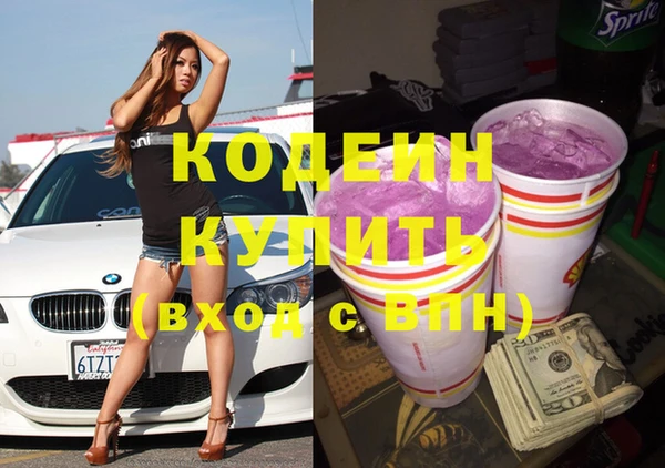 крисы Няндома