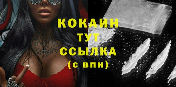 крисы Няндома