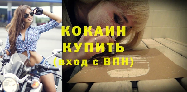 крисы Няндома