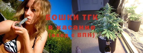 крисы Няндома