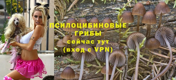 экстази Новозыбков