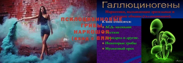 шишки Нягань