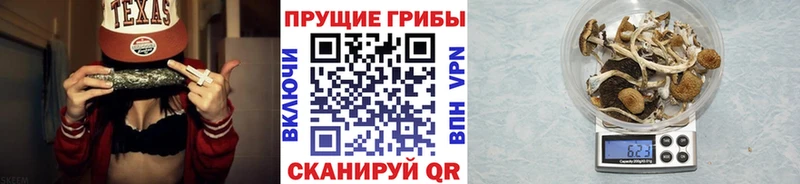 купить наркоту omg маркетплейс Галлюциногенные грибы прущие грибы Нариманов